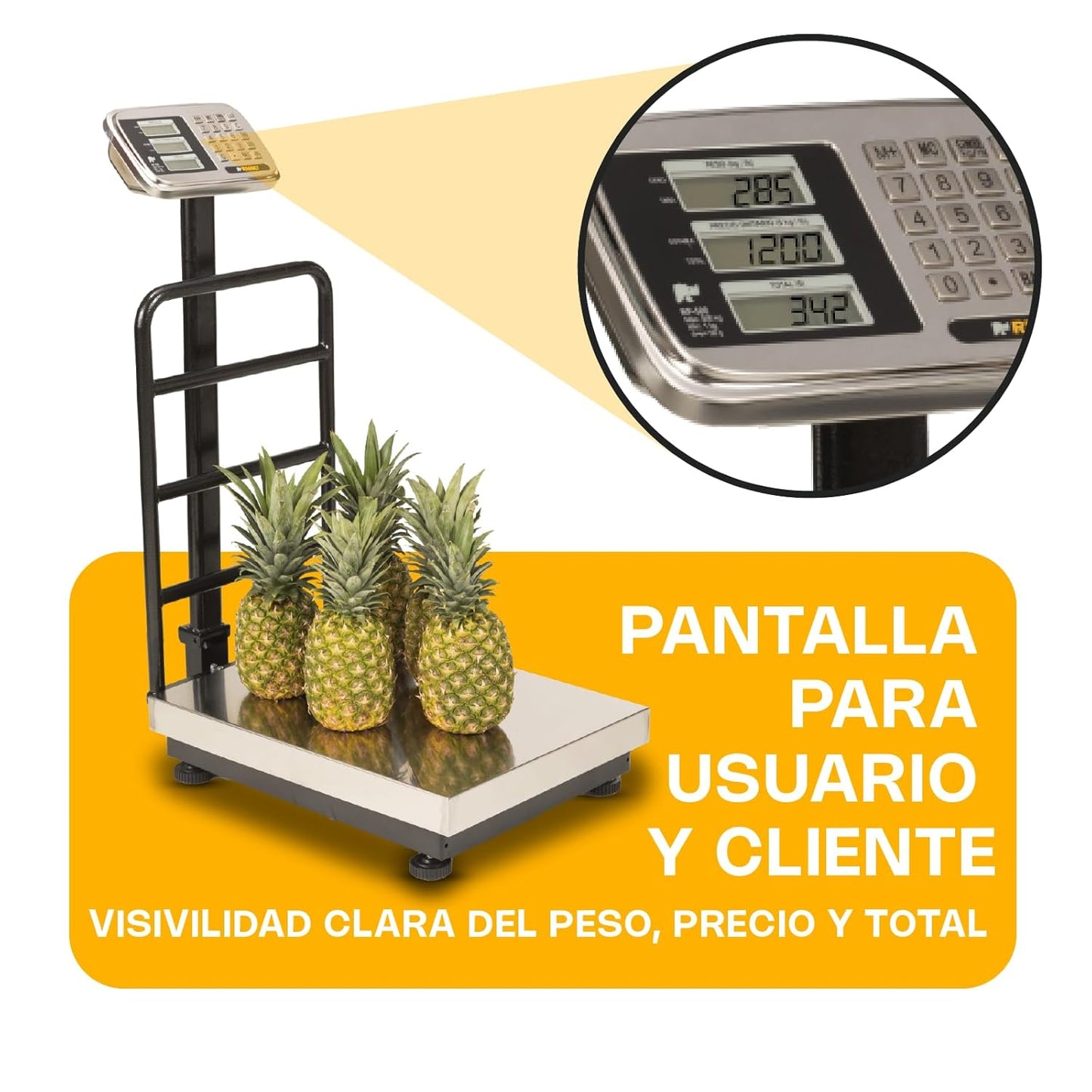 Báscula de Plataforma Plegable 500 kg / BP-500 (indicador incluido)