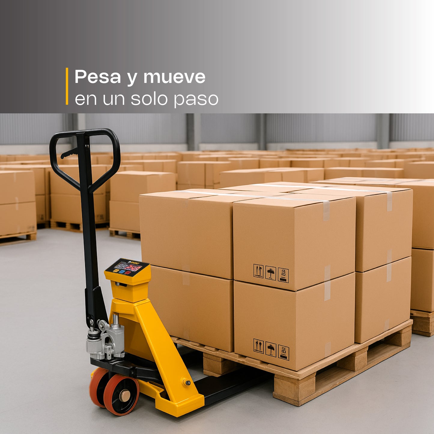 Báscula de Patín / BAPAT-2T