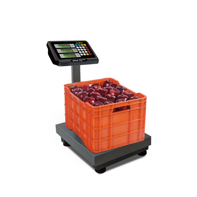 Báscula de Plataforma Plegable 80 kg / BAPCA-80