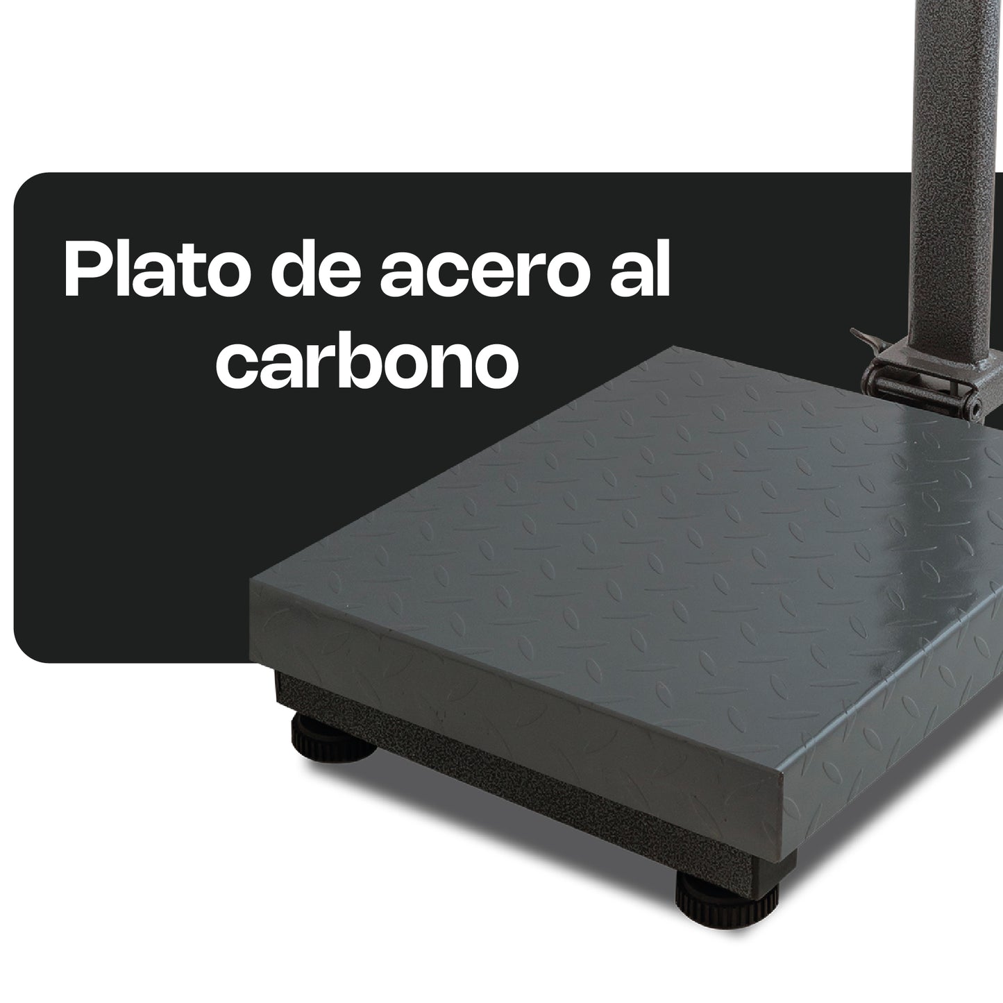 Báscula de Plataforma Plegable 80 kg / BAPCA-80