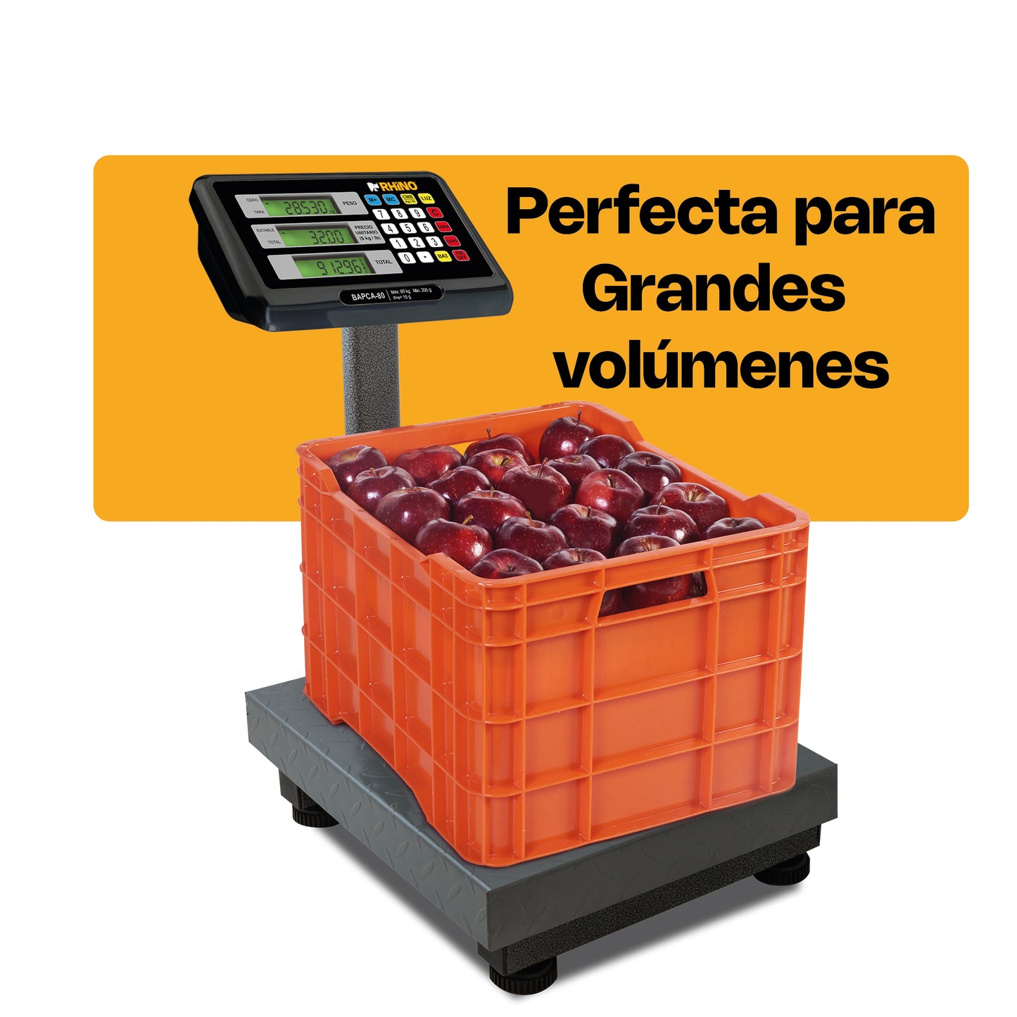 Báscula de Plataforma Plegable 80 kg / BAPCA-80
