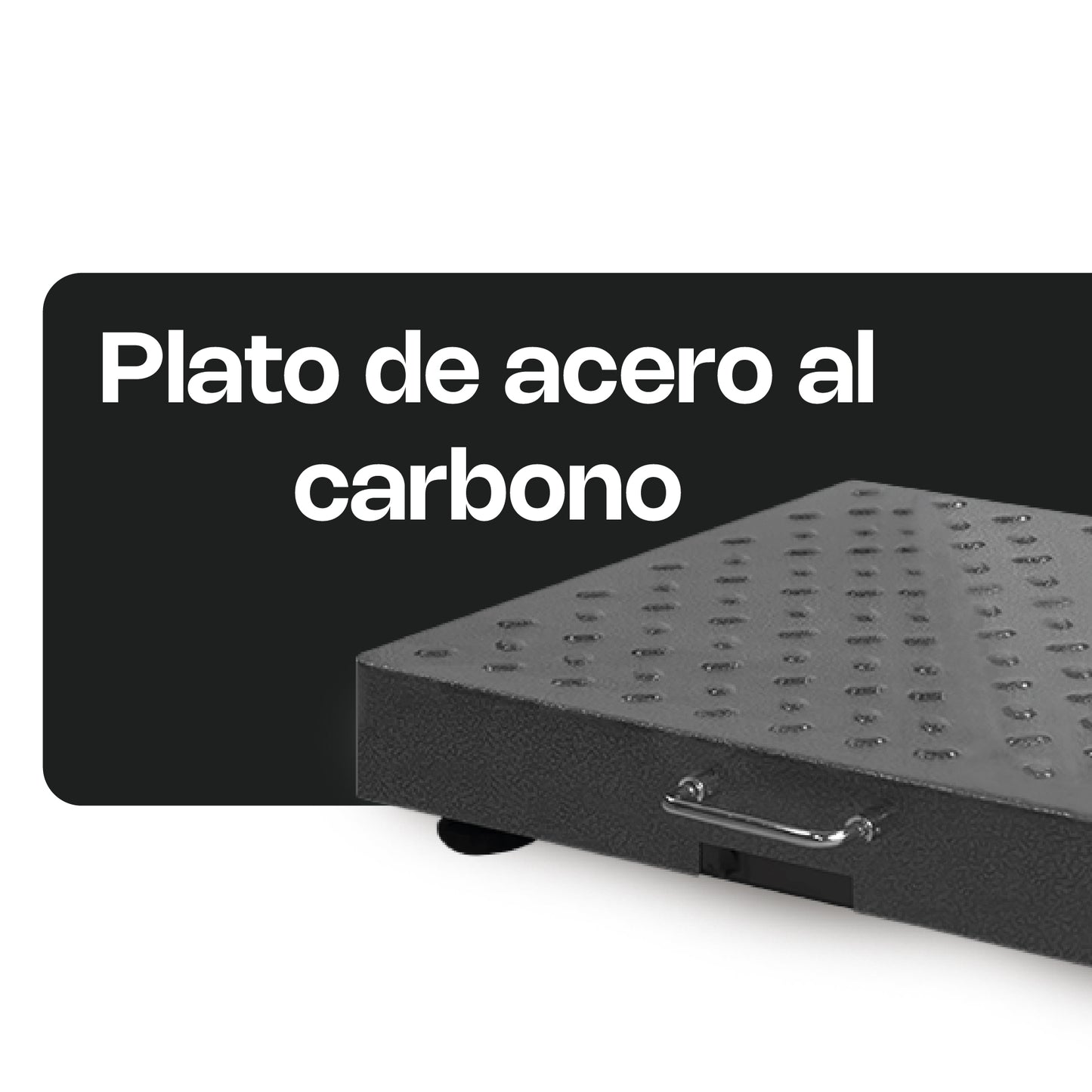 Báscula de Plataforma Inalámbrica 300 kg / BAPIC-300