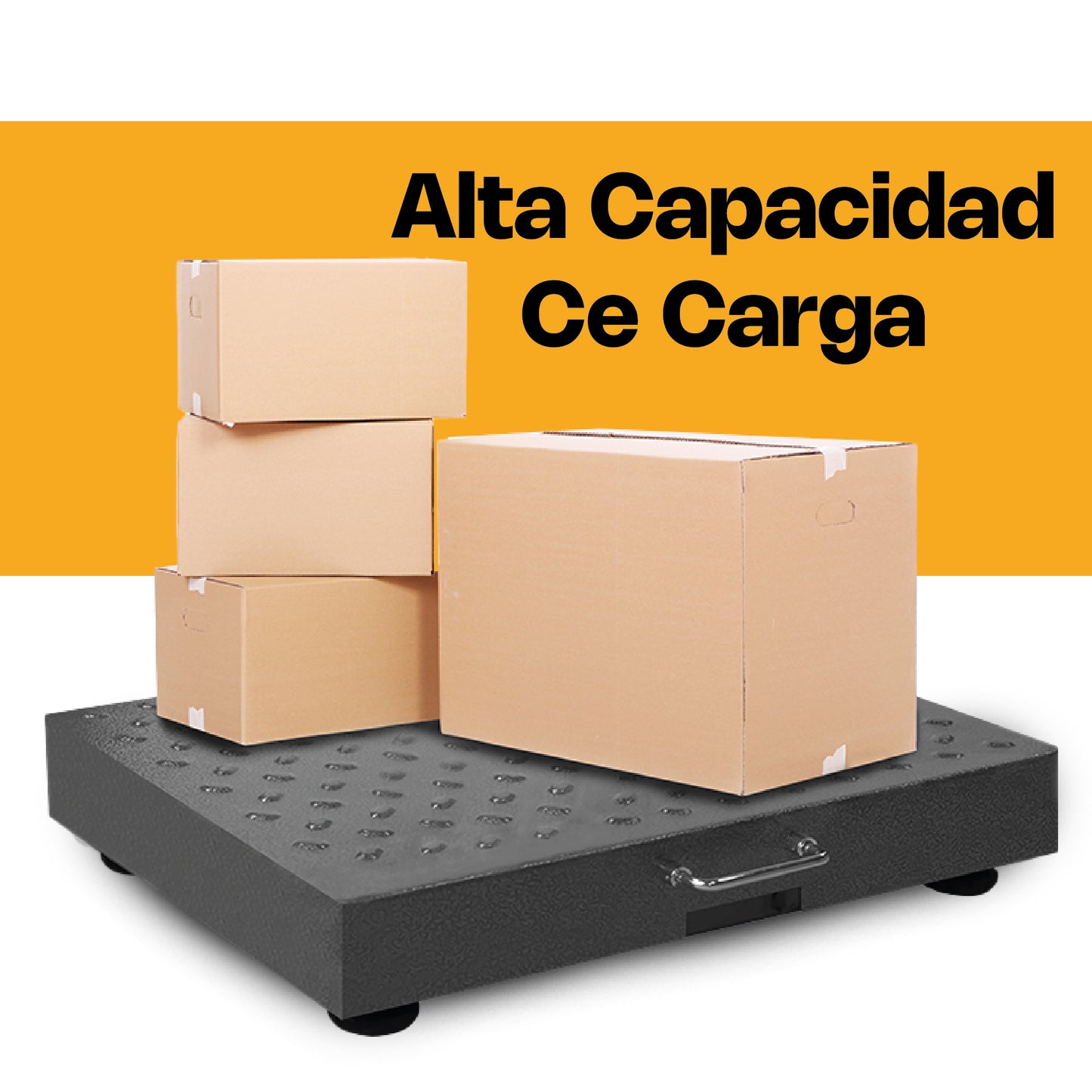 Báscula de Plataforma Inalámbrica 300 kg / BAPIC-300