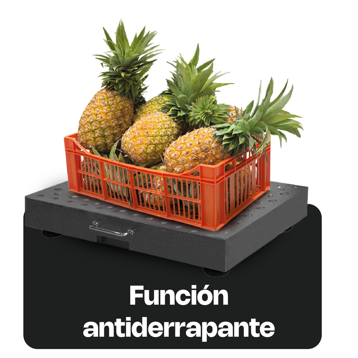 Báscula de Plataforma Inalámbrica 300 kg / BAPIC-300