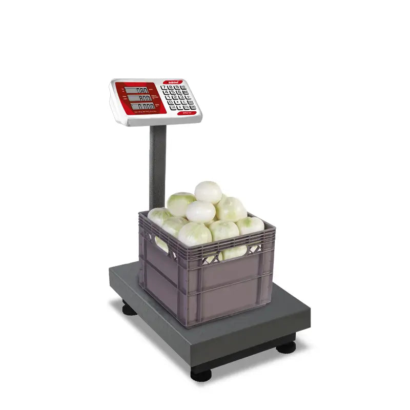BAPLE-100 / Báscula de Plataforma Plegable 100 kg