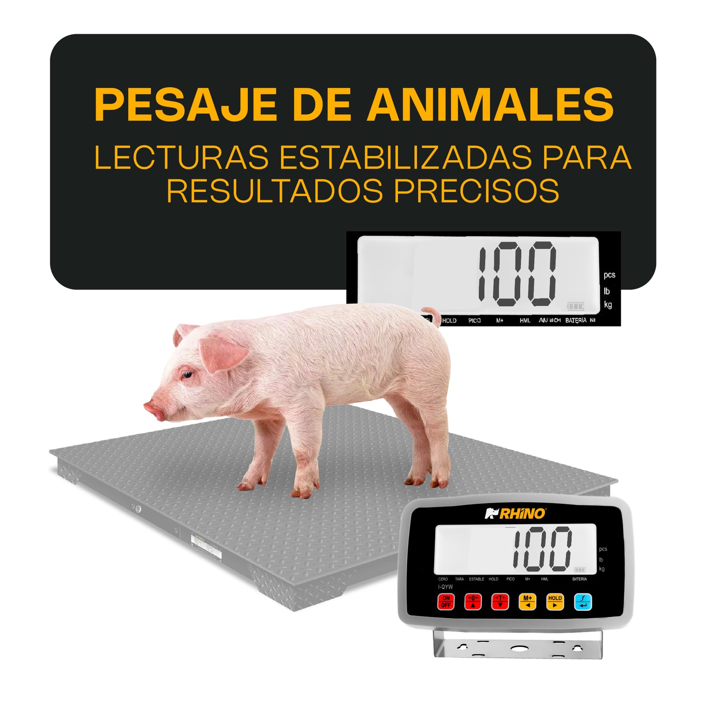 Indicador de Peso Inalámbrico / I-QYW