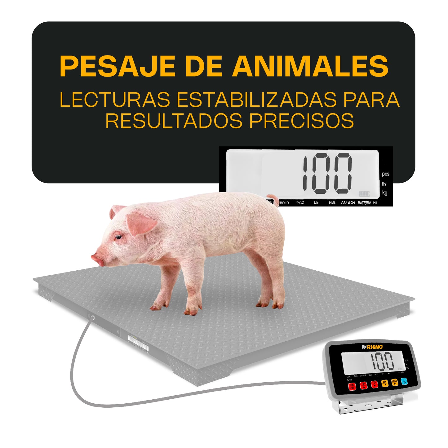 Indicador Peso, Contador y Pesaje de Animales / I-QY