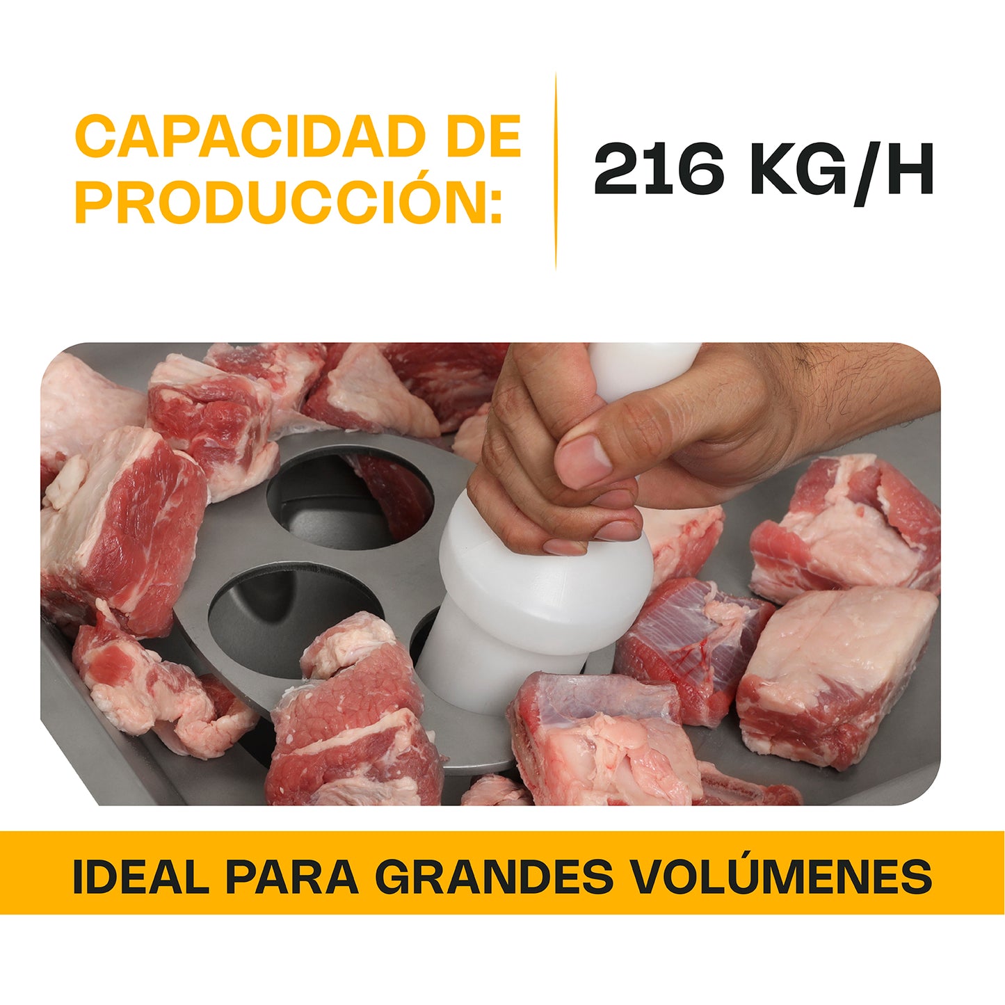 Molino Embutidor 2 hp / MOLEM-22M2
