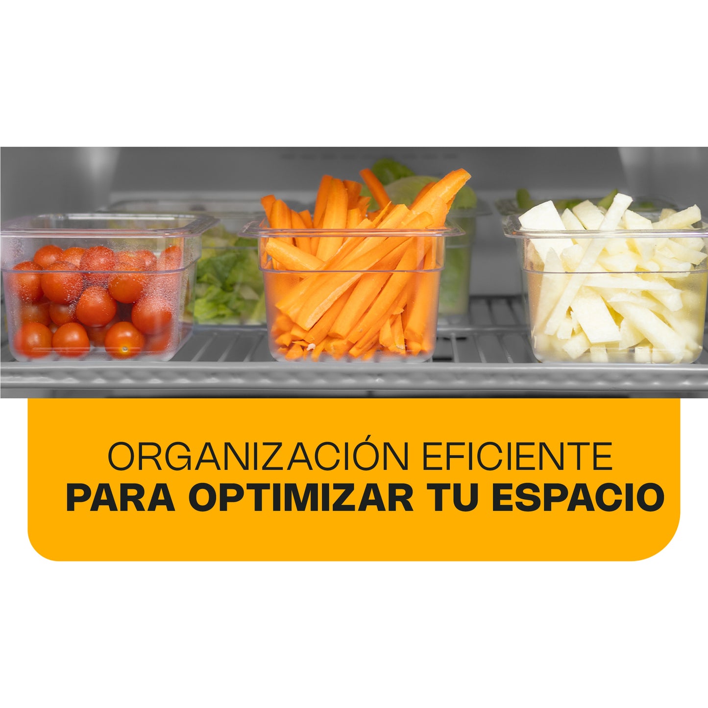 Refrigerador Vertical / REVESOL-23