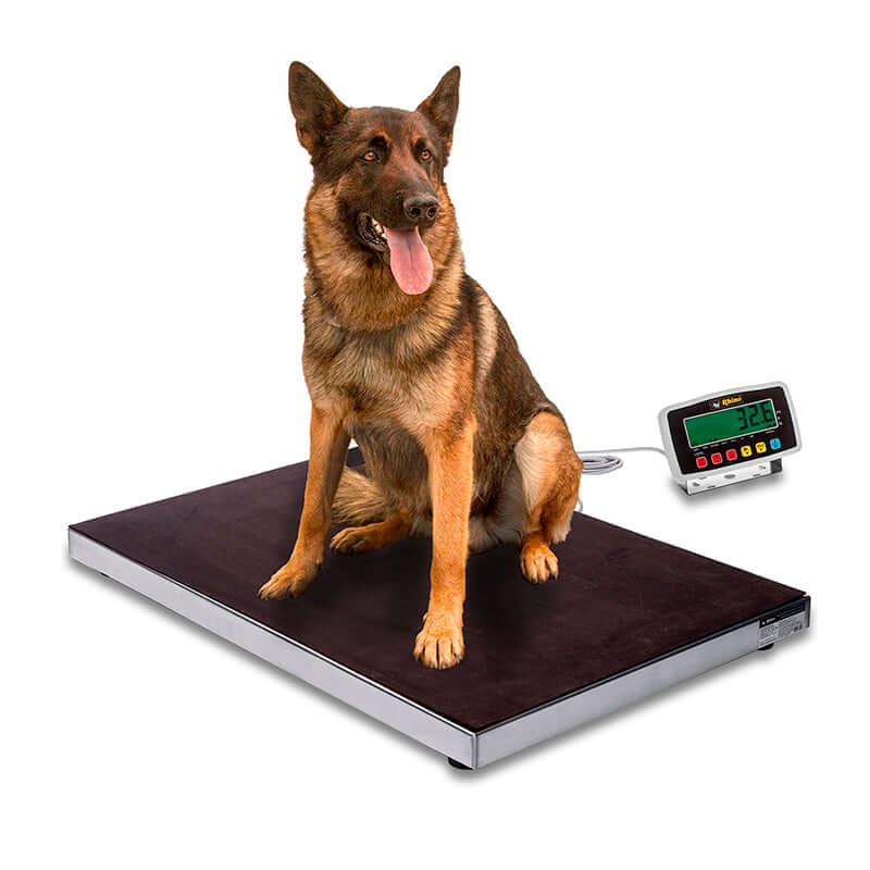 Plataforma Veterinaria 200kg - BAVET-200