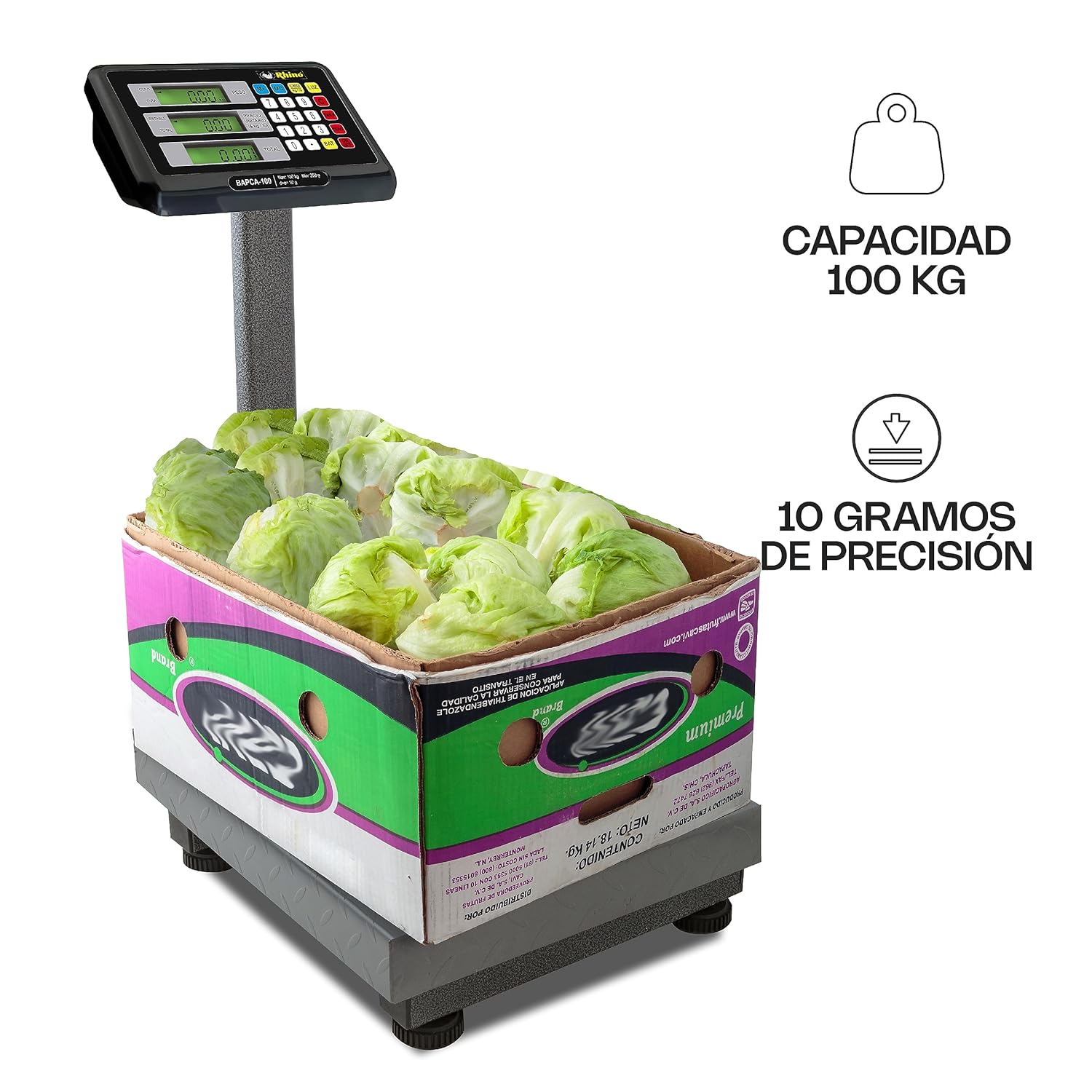 Báscula de Plataforma Plegable 100 kg / BAPCA-100