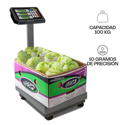 Báscula de Plataforma Plegable 100 kg / BAPCA-100