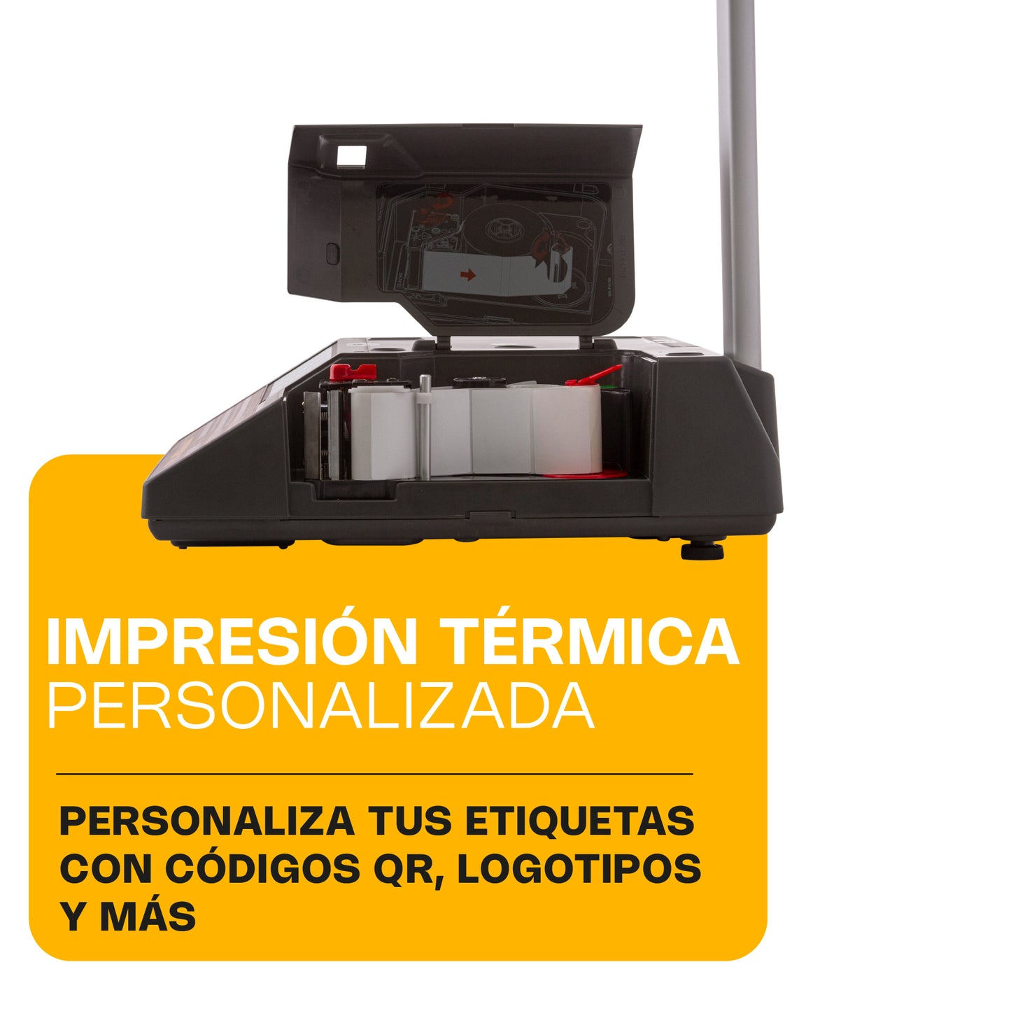 Báscula Electrónica Etiquetadora 30 kg con Conexión WiFi / BAET-30X
