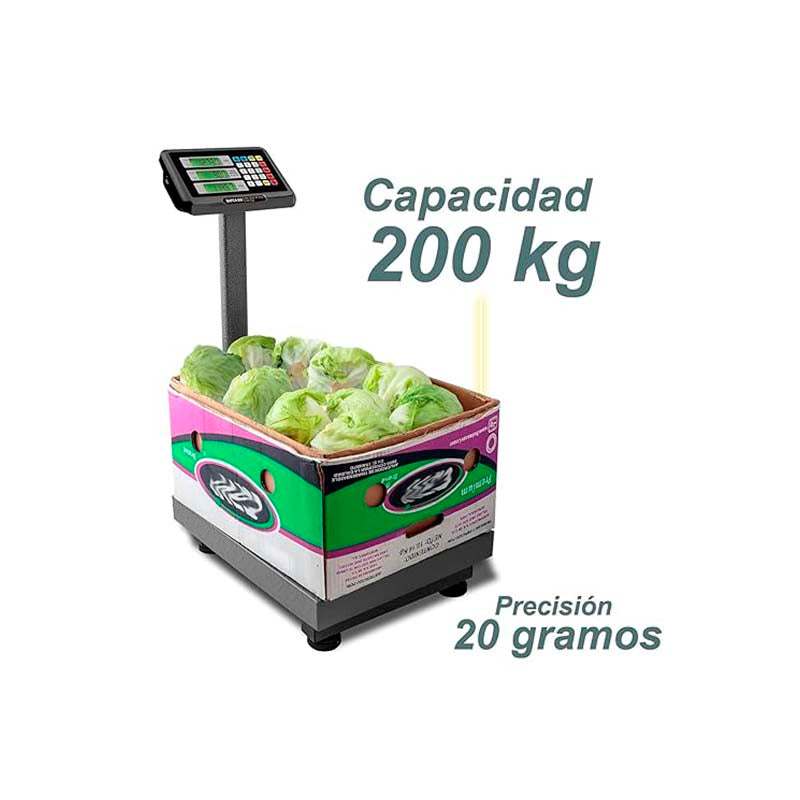 Báscula de Plataforma Plegable 200 kg / BAPCA-200