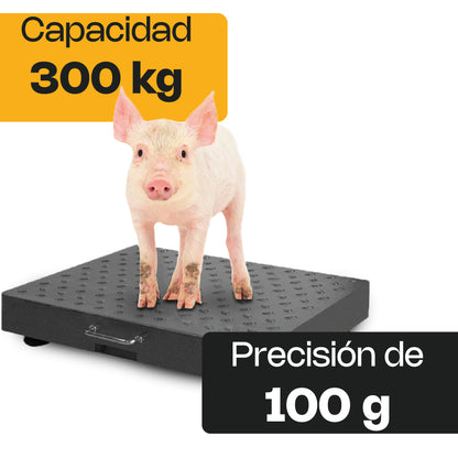 Báscula de Plataforma Inalámbrica 300 kg / BAPIC-300