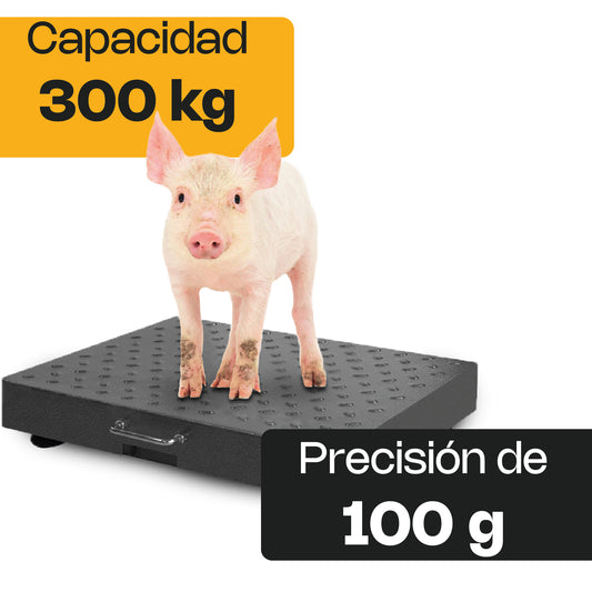 Báscula de Plataforma Inalámbrica 300 kg / BAPIC-300