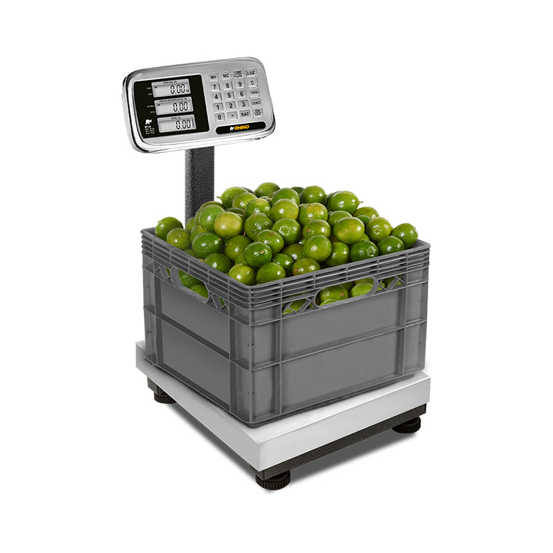 Báscula de Plataforma Plegable 80 kg / BP-80