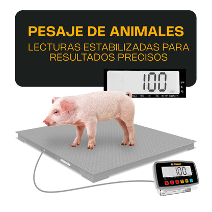 Indicador Peso, Contador y Pesaje de Animales / I-QY