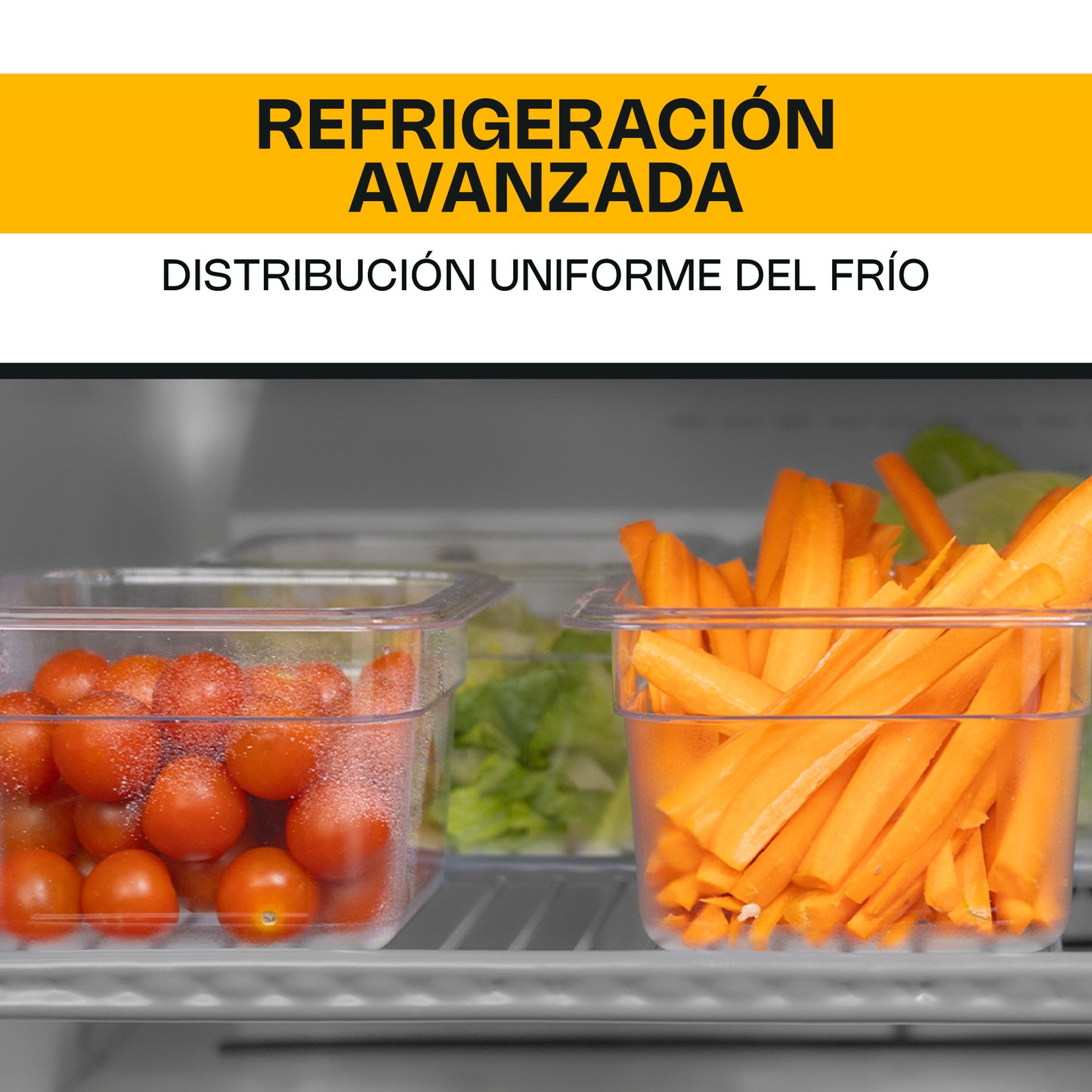 Mesa refrigerada bajo barra 6.9 pies / MERBAJ-27