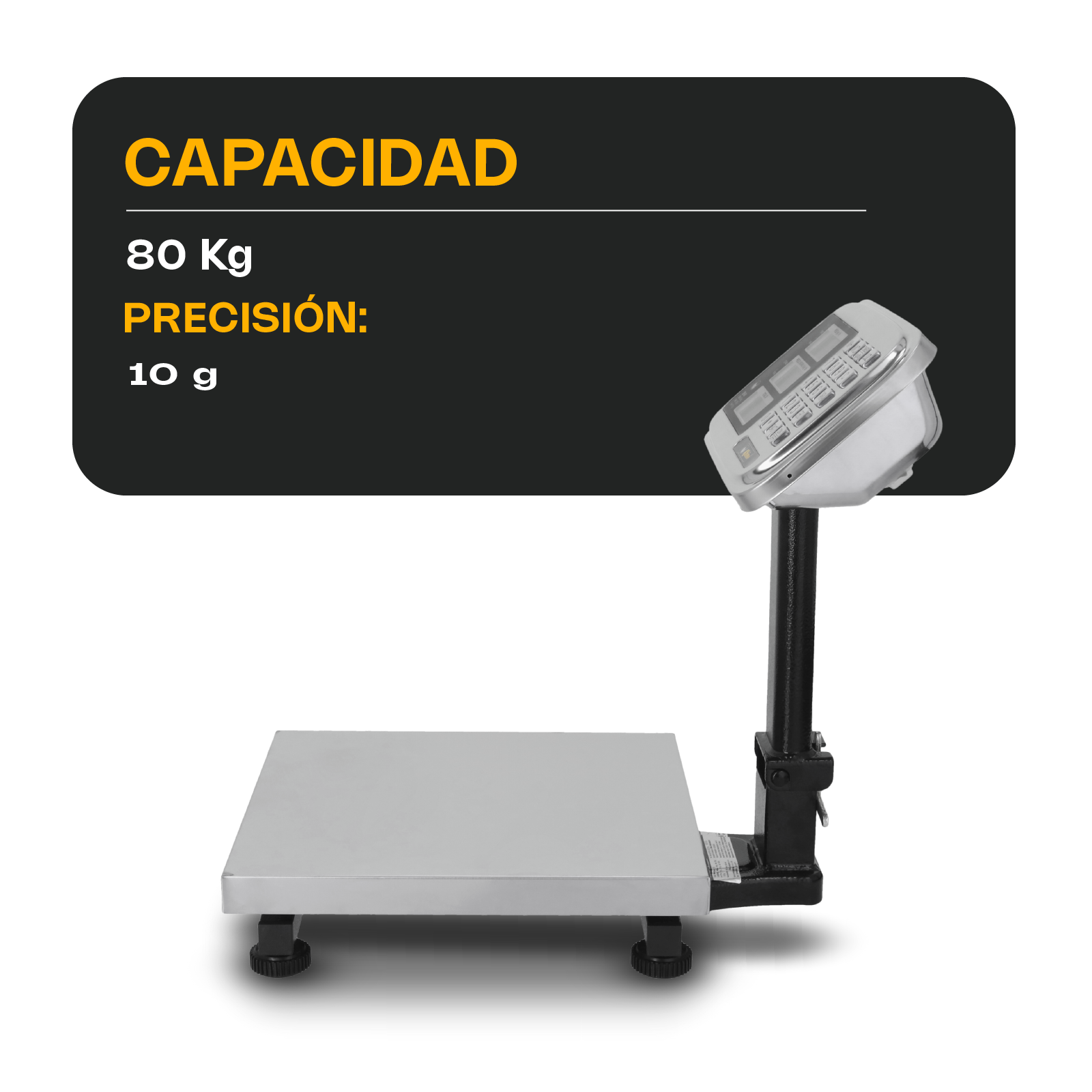 Báscula de Plataforma Plegable 80 kg / BP-80