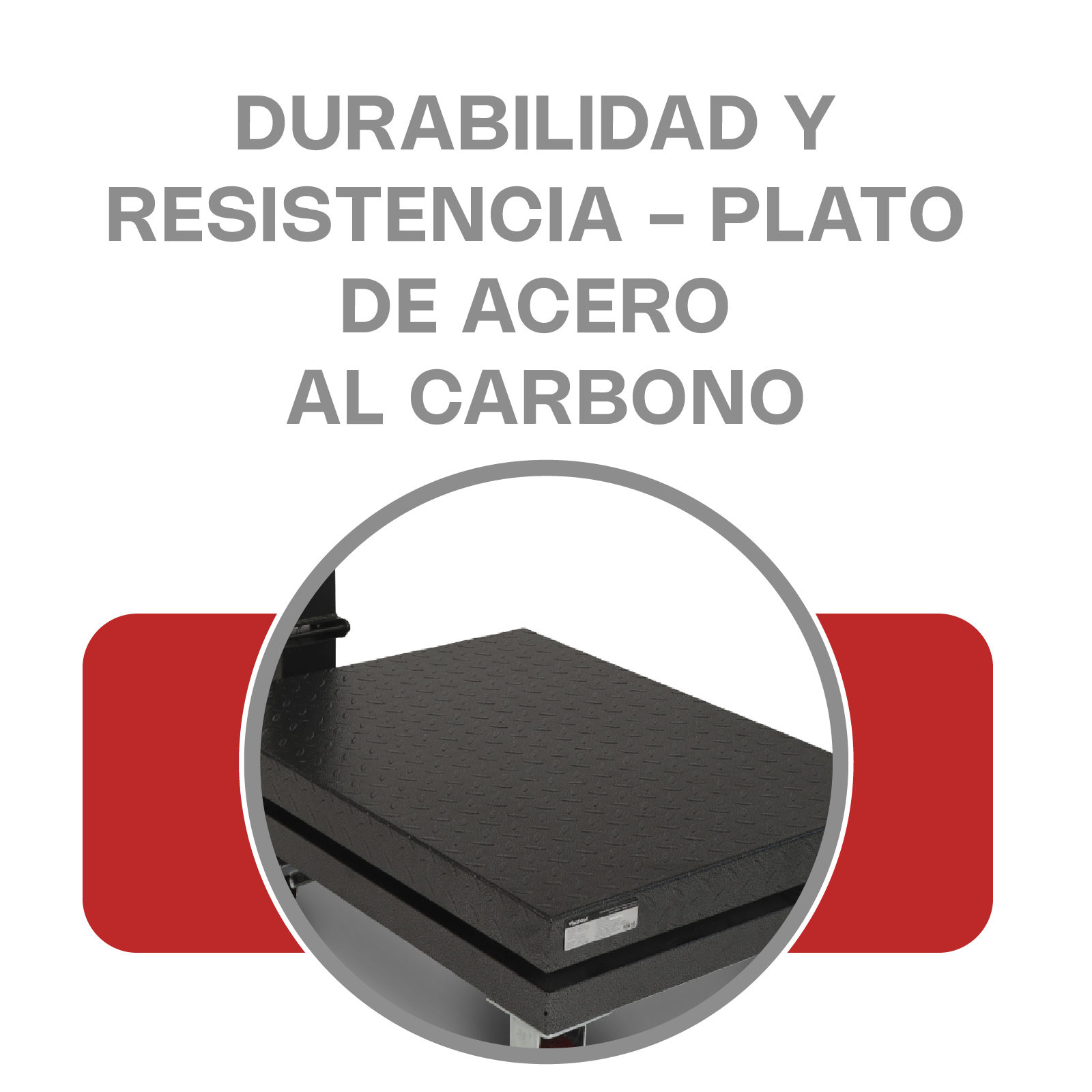 Báscula de Plataforma Plegable 800 kg / BAPLE-800