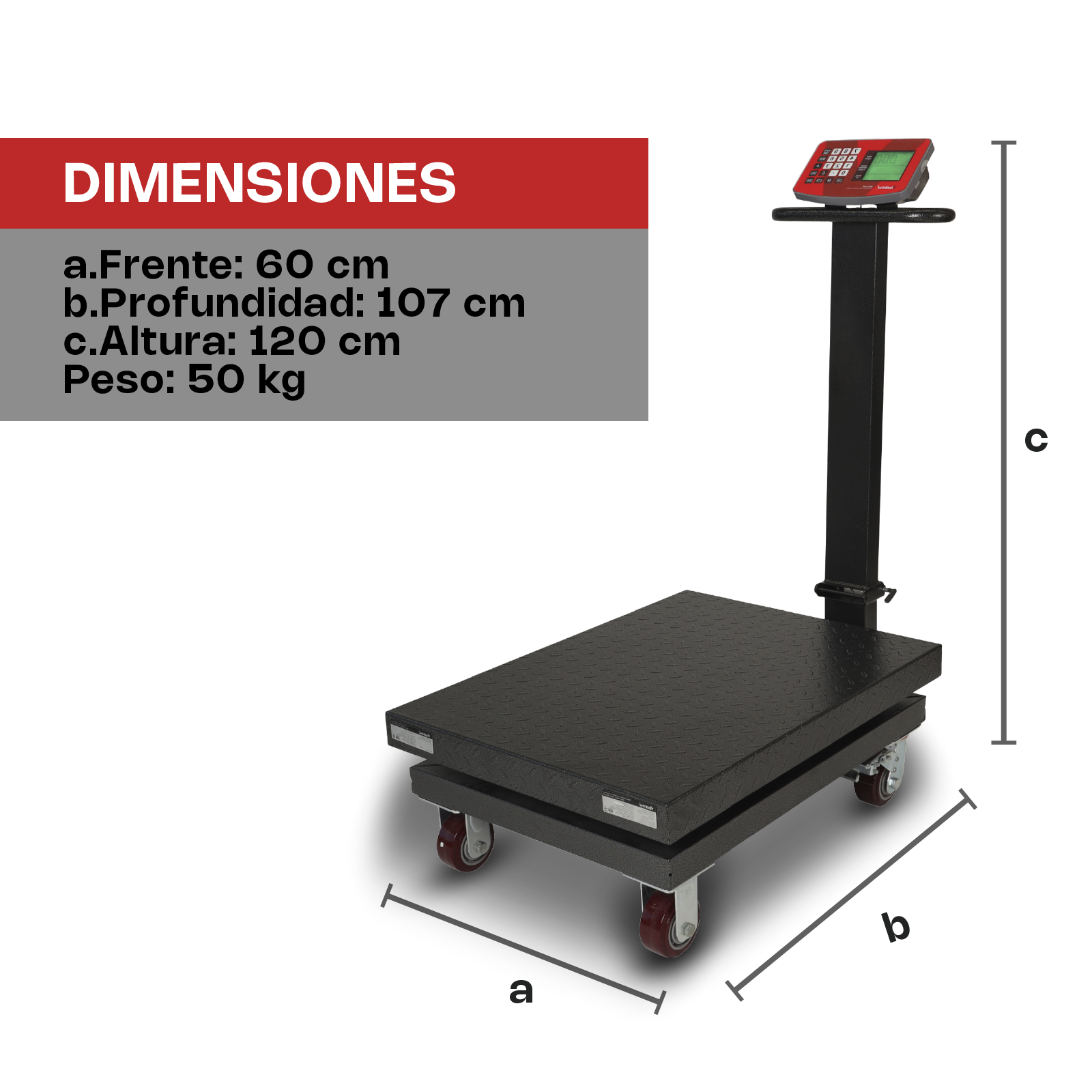 Báscula de Plataforma Plegable 800 kg / BAPLE-800